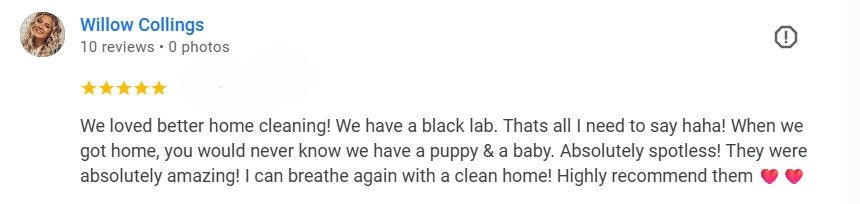 A highlighted 5-star review from a Washington home praising a cleaning company’s pet-friendly service.